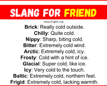 20+ Slang for Friend (Their Uses & Meanings)
