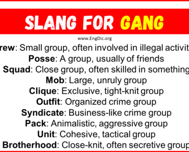 20+ Slang for Gang (Their Uses & Meanings)