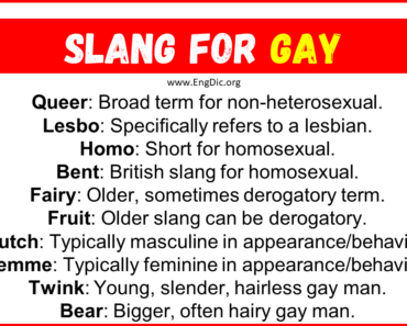 20+ Slang for Gay (Their Uses & Meanings)