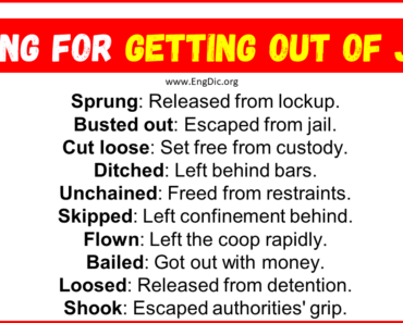 20+ Slang for Getting Out Of Jail (Their Uses & Meanings)