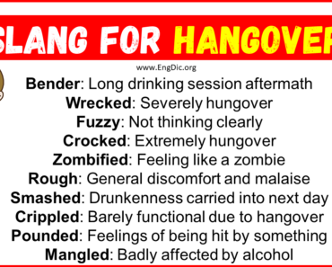 20+ Slang for Hangover (Their Uses & Meanings)