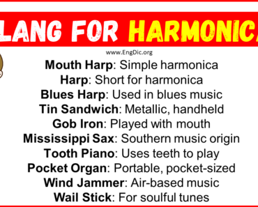 20+ Slang for Harmonica (Their Uses & Meanings)