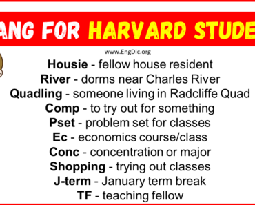 20+ Slang for Harvard Students (Their Uses & Meanings)