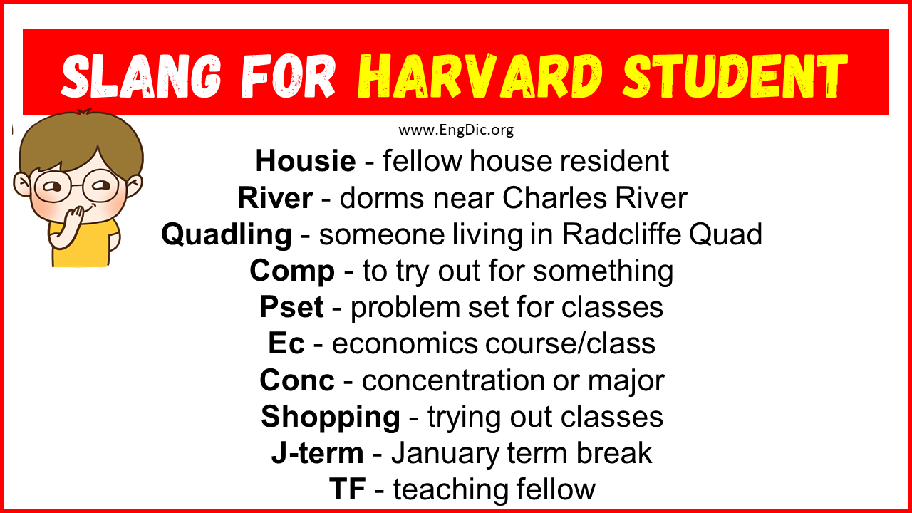 Slang For Harvard Student