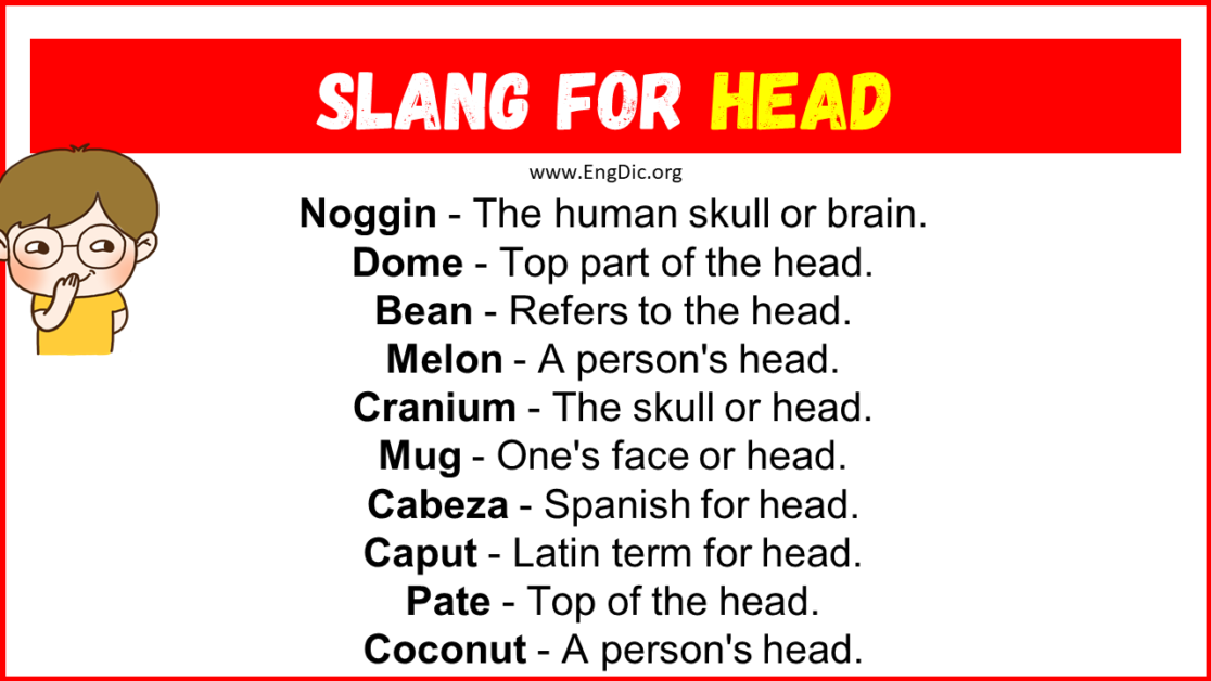 20 Slang For Head Their Uses Meanings EngDic