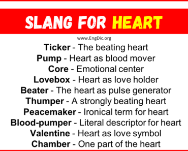 20+ Slang for Heart (Their Uses & Meanings)