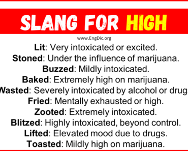 20+ Slang for High (Their Uses & Meanings)