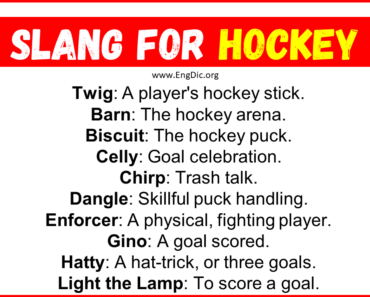 20+ Slang for Hockey (Their Uses & Meanings)