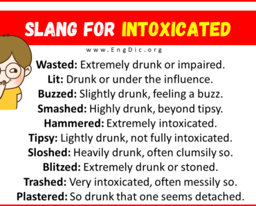 20+ Slang for Intoxicated (Their Uses & Meanings)