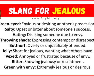 20+ Slang for Jealous (Their Uses & Meanings)