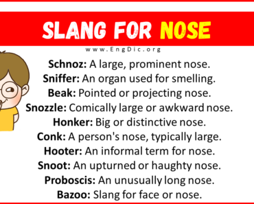20+ Slang for Nose (Their Uses & Meanings)