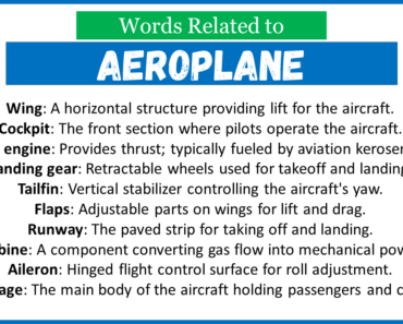 Top 30 Words Related to Aeroplane