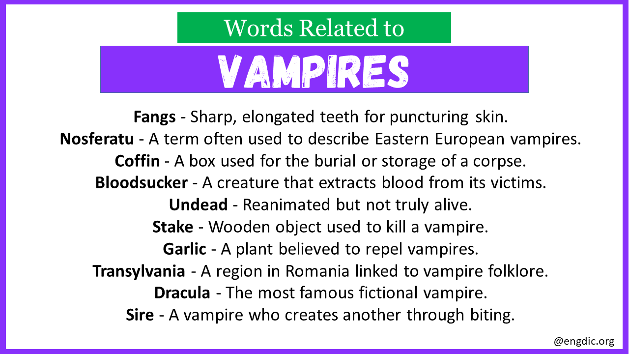 Words Related to Vampires