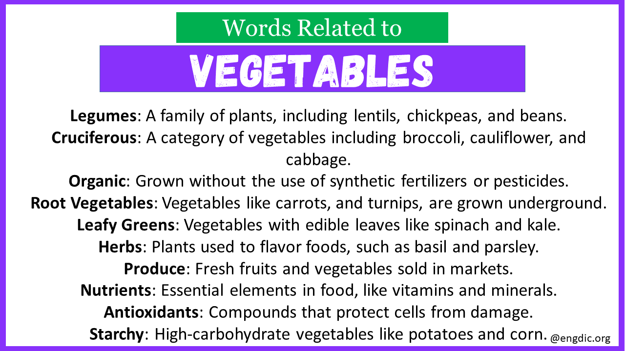 Words Related to Vegetables