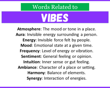 Top 30 Words Related to Vibes
