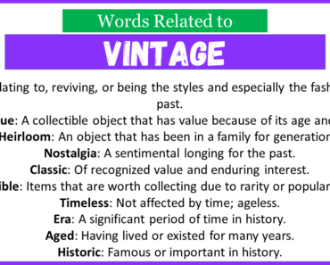 Top 30 Words Related to Vintage