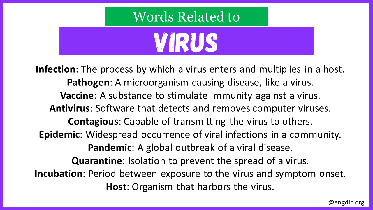 Words Related to Virus