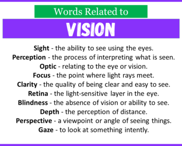 Top 30 Words Related to Vision