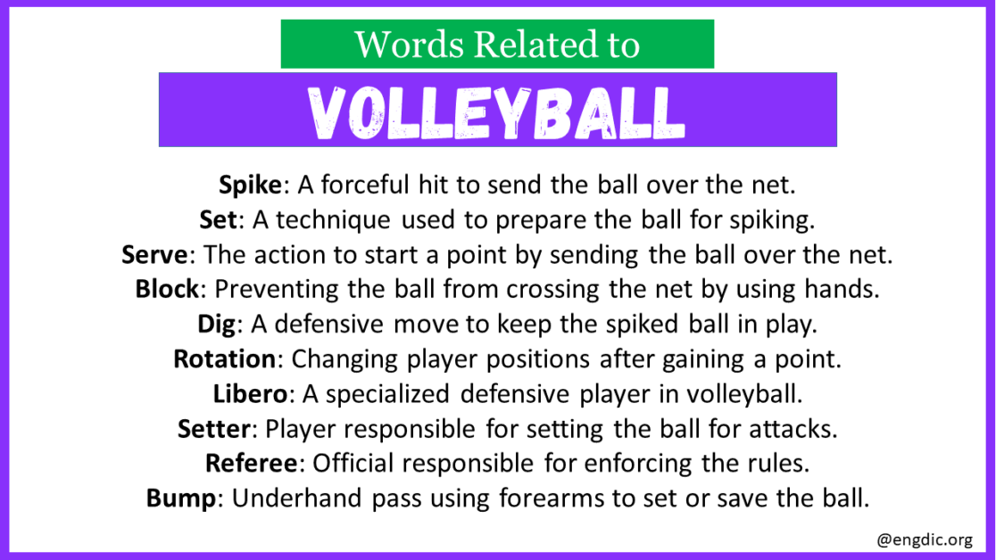 Top 30 Words Related to Volleyball - EngDic