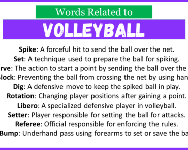 Top 30 Words Related to Volleyball