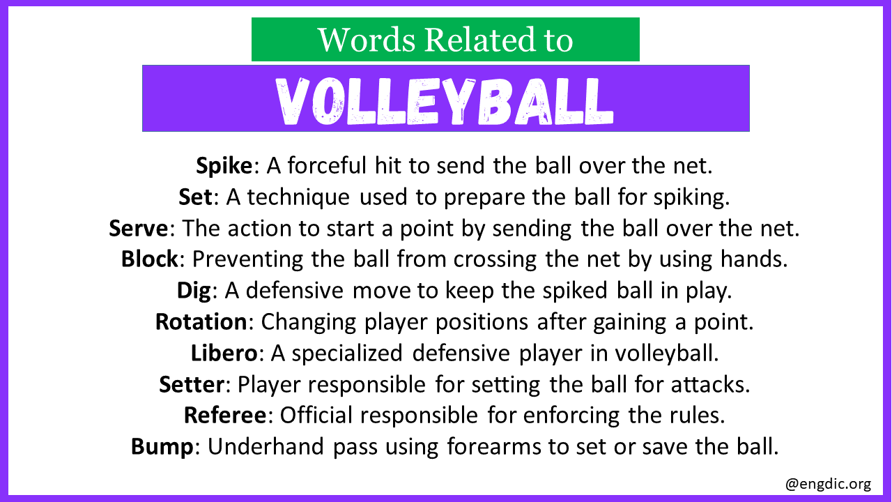 Words Related to Volleyball