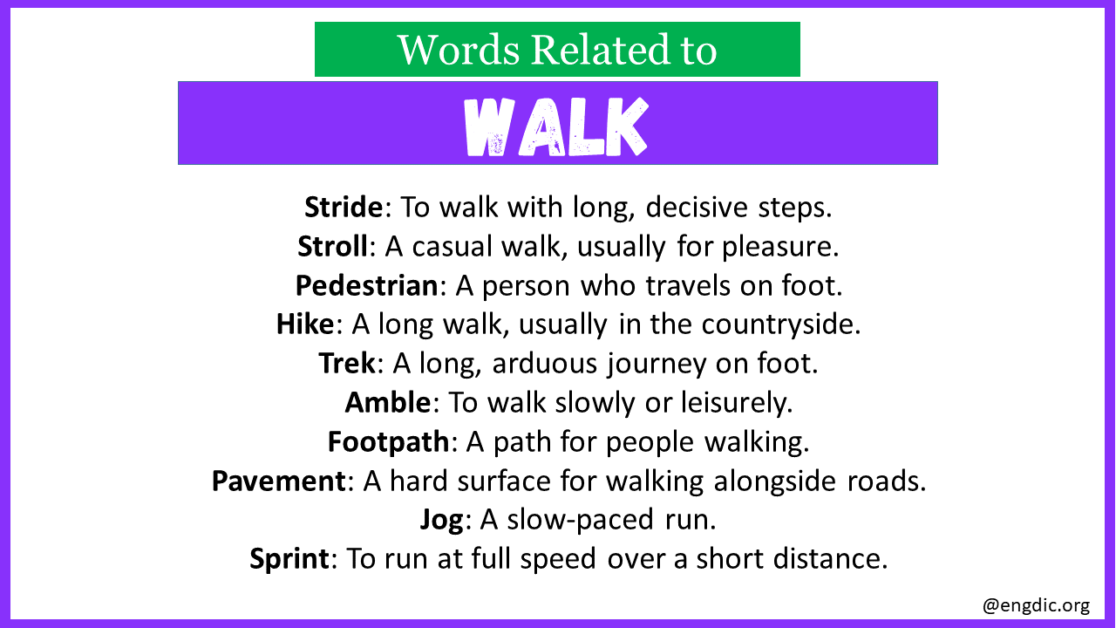 top-30-words-related-to-walk-engdic