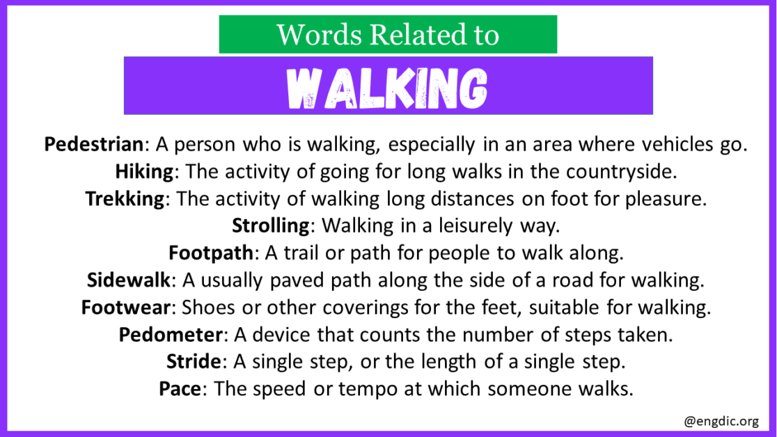 Top 30 Words Related to Walking - EngDic