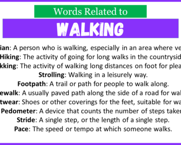 Top 30 Words Related to Walking