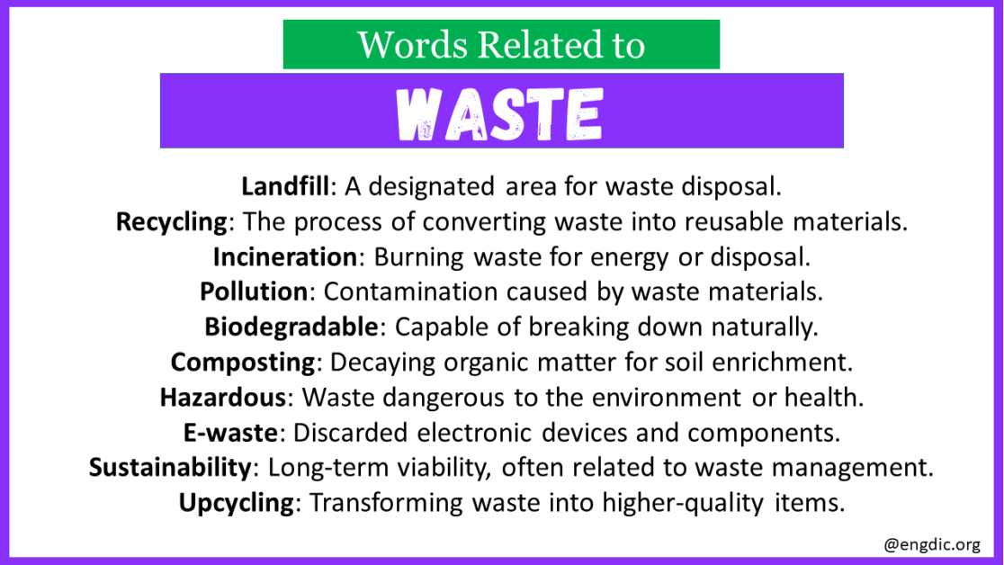Top 30 Words Related to Waste EngDic
