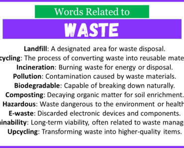 Top 30 Words Related to Waste