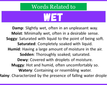 Top 30 Words Related to Wet