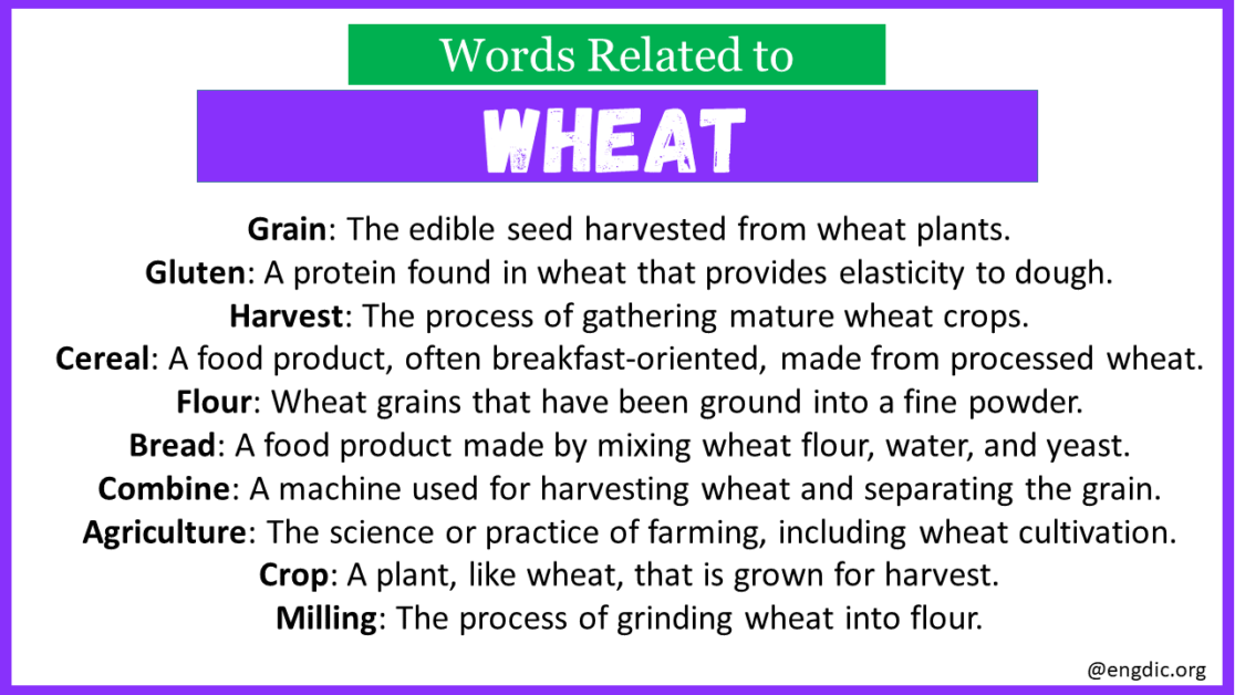 5 letter words with wheat