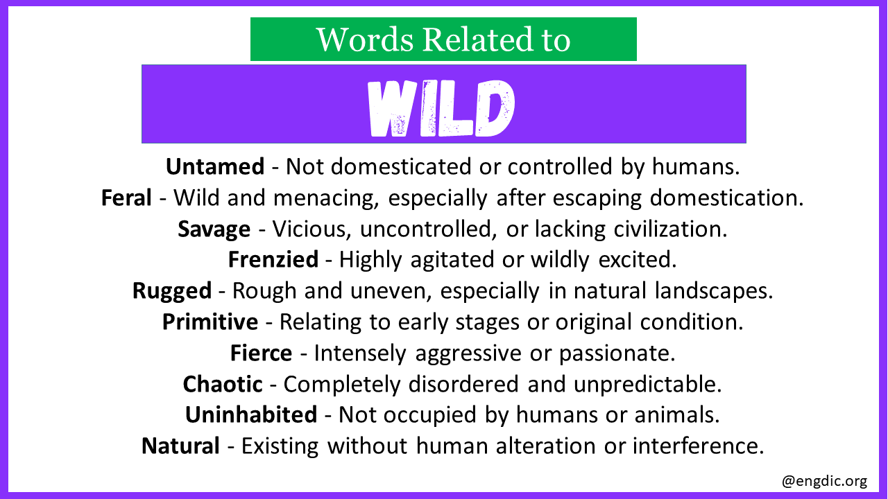 Words Related to Wild