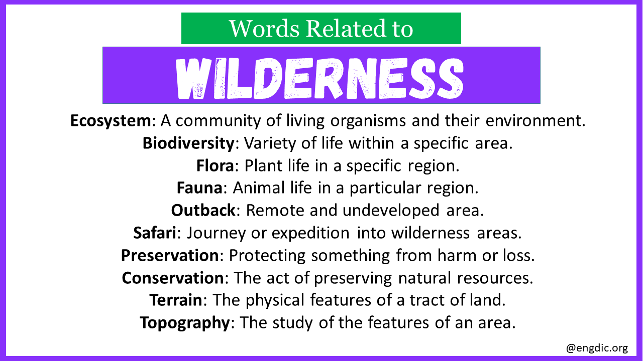 Words Related to Wilderness