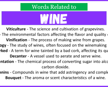 Top 30 Words Related to Wine