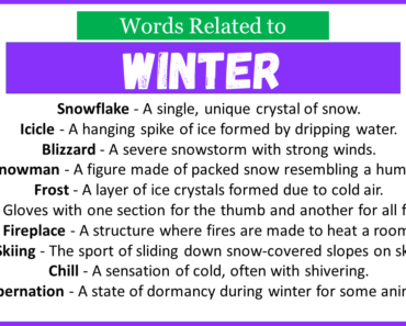 Top 30 Words Related to Winter