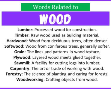 Top 30 Words Related to Wood