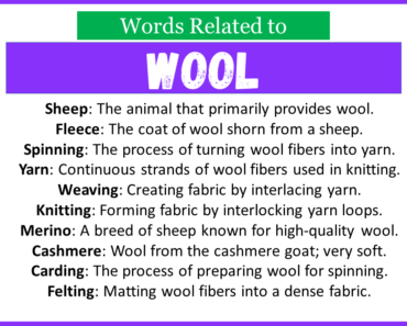 Top 30 Words Related to Wool