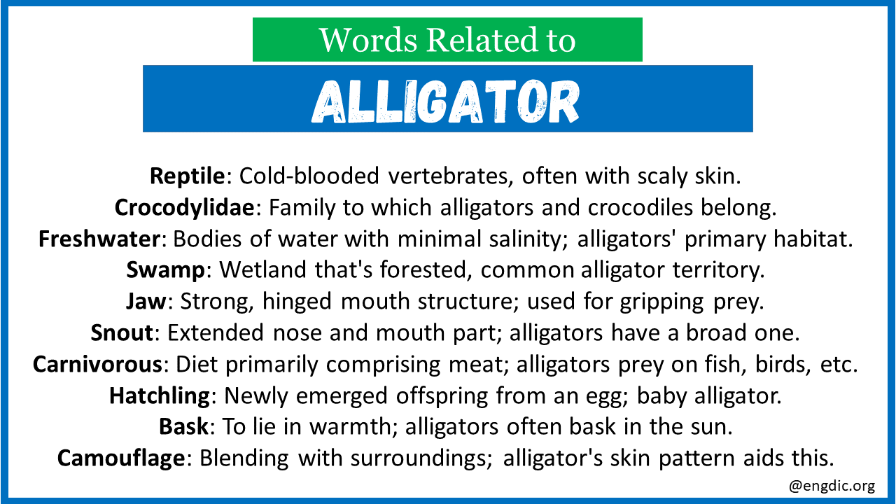 words related to alligator