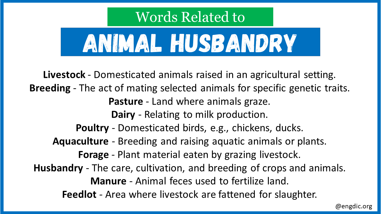 words related to animal husbandry