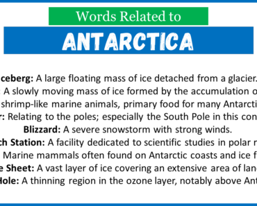 Top 30 Words Related to Antarctica