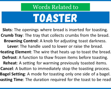 Top 30 Words Related to Toaster
