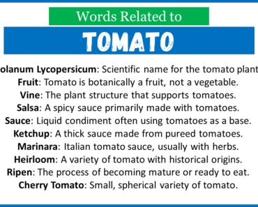 Top 30 Words Related to Tomato