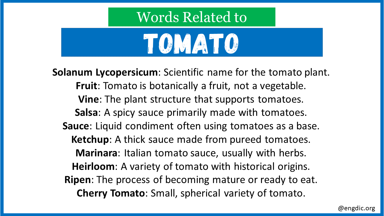 words related to tomato