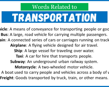Top 30 Words Related to Transportation