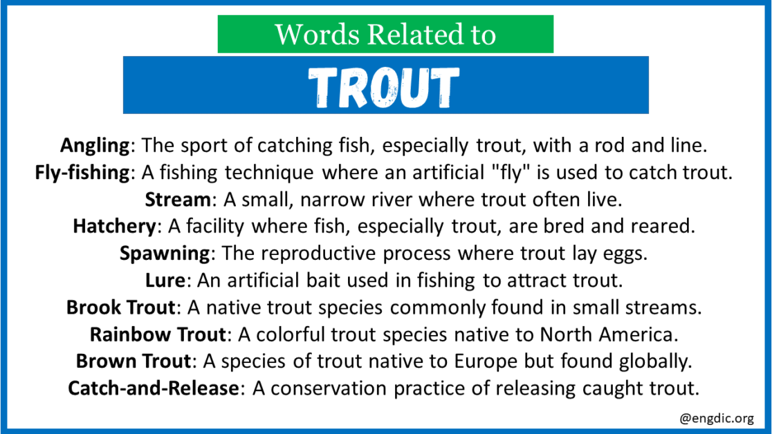 Top 30 Words Related to Trout EngDic