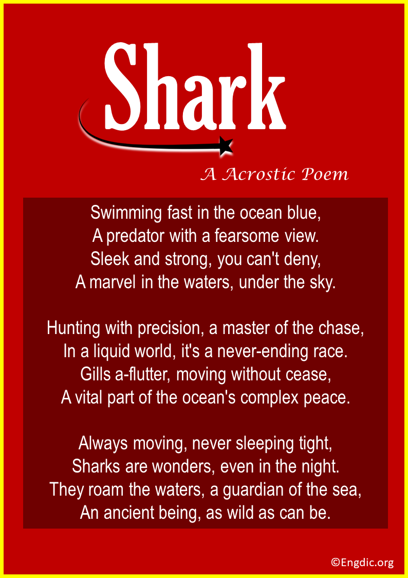 Acrostic Poems About Shark