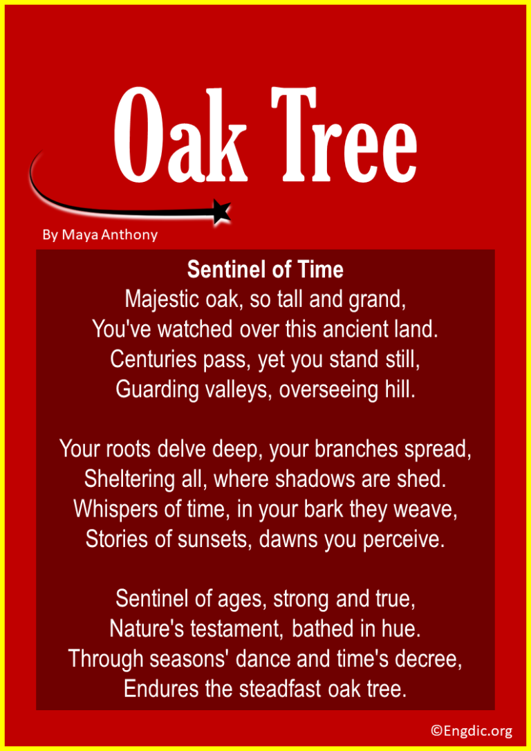 13 Best Short Poems about Acorns & Oak Trees - EngDic