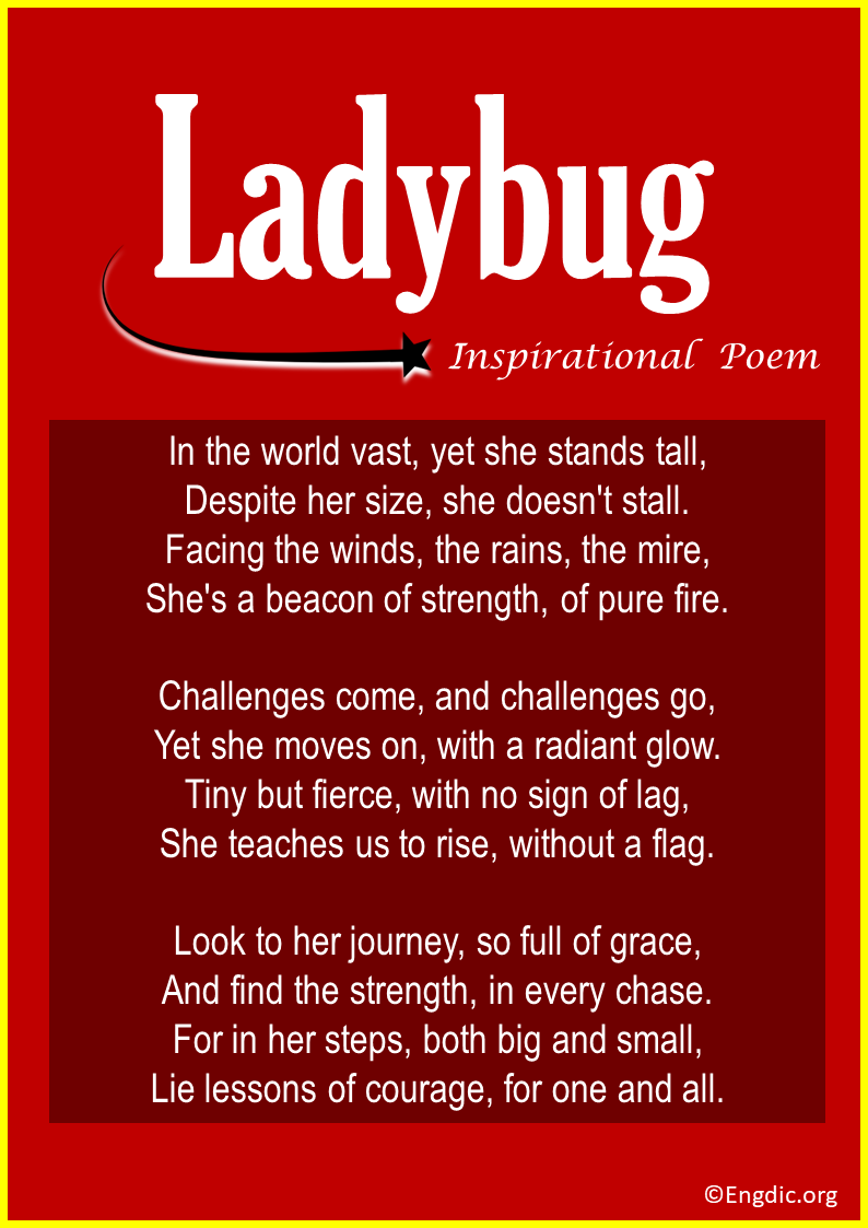 Inspirational Poems About Ladybug