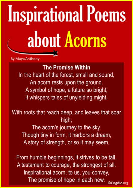 13 Best Short Poems about Acorns & Oak Trees - EngDic